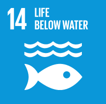 SDG Wheel